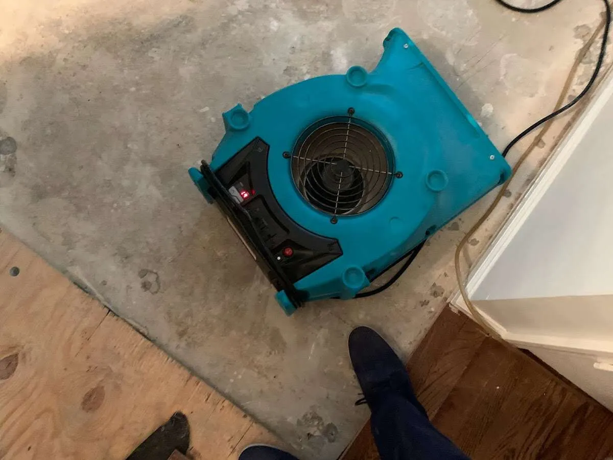 Air mover drying subfloor during Leak Detection & Repair in Kingsland